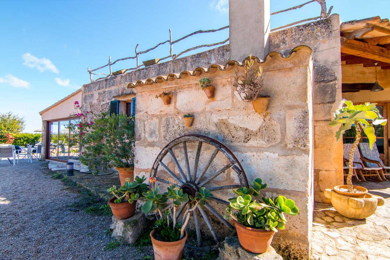 Petit Son Perdiu - Adults Only Agroturismo Sa Ràpita